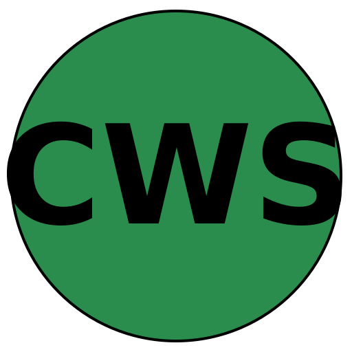 CareerWise Solutions
